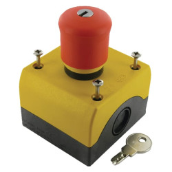 Avarinio stabdymo raktas – rel.mushr.but.surFor M22PVSKC11IY