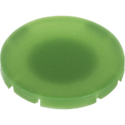 Mygtuko plokštelė, žalia M22XDG