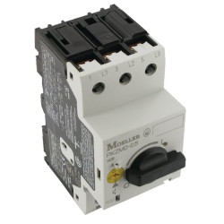 Variklio apsaugos grandinės pertraukiklis PKZM025