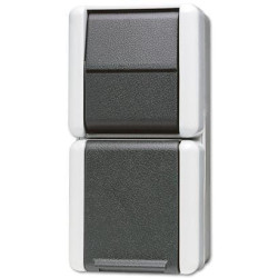 Lizdas su jungikliu 876W