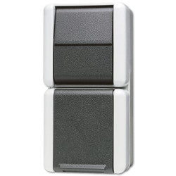 Lizdas su jungikliu 876W