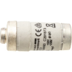 Saugiklis 400 V 63 A Ilgis 36 mm 63AD02