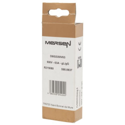 Saugiklis 500 V 63 A Ilgis 50 mm 63ATDTIII