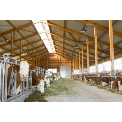 LED daugiafunkcis šviestuvas 345985