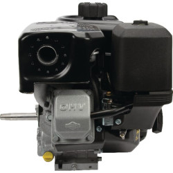 Variklis, horizontalus, 8,9 AG, Briggs & Stratton 19L2320315F1