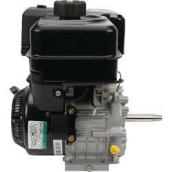 Variklis, horizontalus, 8,9 AG, Briggs & Stratton 19L2320315F1