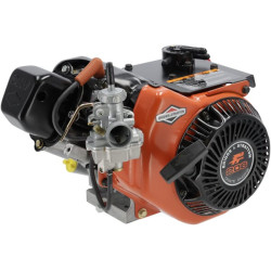 Variklis, horizontalus, 8,8 AG, „Karting 206“ serija, „Briggs & Stratton“ 1243328201