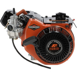Variklis, horizontalus, 8,8 AG, „Karting 206“ serija, „Briggs & Stratton“ 1243328201