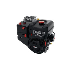 Variklis, horizontalus, 12,9 AG, 2100 serija, Briggs & Stratton 25M1371214F1