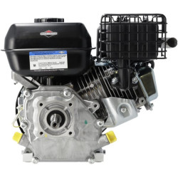 Variklis, horizontalus, 6,4 AG, Briggs & Stratton 1062320272F1