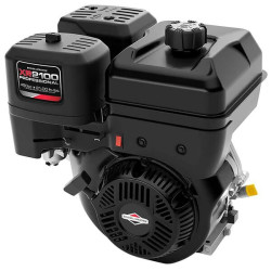 Variklis, horizontalus, 12,9 AG, 2100 serija, Briggs & Stratton 25T2320108F1