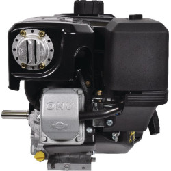Variklis, horizontalus, 8,9 AG, „Vanguard“, „Briggs & Stratton“ 19L2320314F1