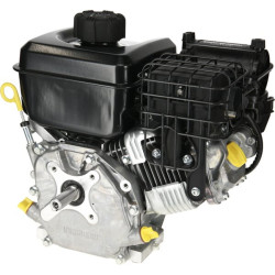 Variklis, horizontalus, 5 AG, „Vanguard“, „Briggs & Stratton“ 10V3320007F1