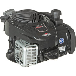 Variklis, vertikalus, 3,5 AG, 500 serija, Briggs & Stratton 09P8020007H5