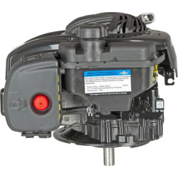 Variklis, vertikalus, 3,5 AG, 500 serija, Briggs & Stratton 09P8020007H5