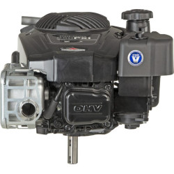 Variklis, vertikalus, 5,9 AG, 850E serija, Briggs & Stratton 123P020011H5