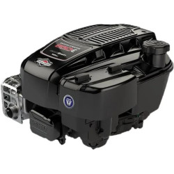 Variklis, vertikalus, 5,9 AG, 850E serija, Briggs & Stratton 123P020052H5