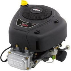 Variklis, vertikalus, 12,3 AG, Briggs & Stratton 21R7720025H5