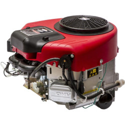 Variklis, vertikalus, 21,7 AG, 2 cilindrų, Briggs & Stratton 40N8770071B5