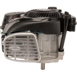 Variklis, vertikalus, 5 AG, 750 EX serija, Briggs & Stratton 1008020116H5