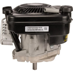 Variklis, vertikalus, 5 AG, 750 EX serija, Briggs & Stratton 1008020116H5
