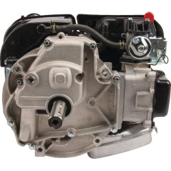 Variklis, vertikalus, 5 AG, 750 EX serija, Briggs & Stratton 1006025025H5