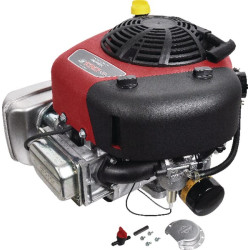 Variklis, vertikalus, 13,3 AG, „Intek“ serijos, „Briggs & Stratton“ 21R8770015B5