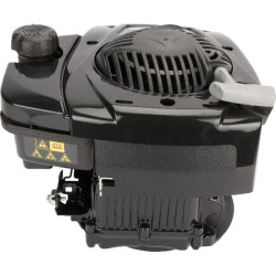 Variklis, vertikalus, 4,4 AG, 625E serija, Briggs & Stratton 093J020112H5