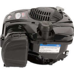 Variklis, vertikalus, 4,4 AG, 625E serija, Briggs & Stratton 093J020112H5