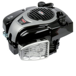 Variklis, vertikalus, 5,4 AG, 675 Exi serija, Briggs & Stratton 104M020141H5