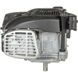 Variklis, vertikalus, 5 AG, 750 EX serija, Briggs & Stratton 1008020149H5