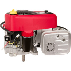 Variklis, vertikalus, 17,3 AG, 4175 serija, Briggs & Stratton 31R7770010B5