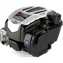 Variklis, vertikalus, 5,4 AG, 675 Exi serija, Briggs & Stratton 104M020045H5