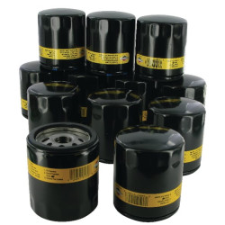 Alyvos filtro pakuotė (12x491056) 4153