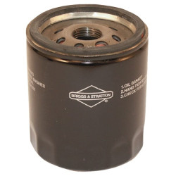 Alyvos filtras 491056