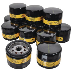 Alyvos filtras 12 x 842921 4237