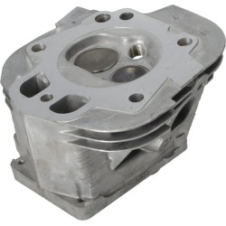 Cilindro galvutė 799858