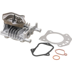 Cilindro galvutė 84006590