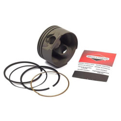 Stūmoklis pilnas standartinis 799063