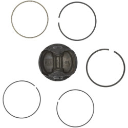 Stūmoklis pilnas standartinis 595502