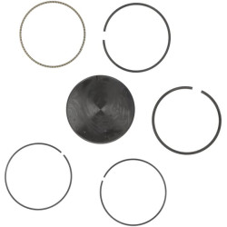 Stūmoklis pilnas standartinis 595502