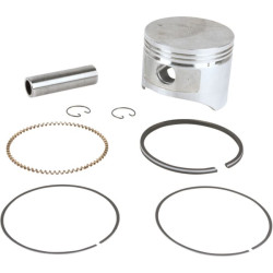 Stūmoklis pilnas standartinis 716138