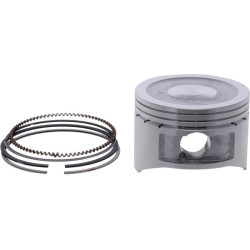 Stūmoklis pilnas standartinis 594235