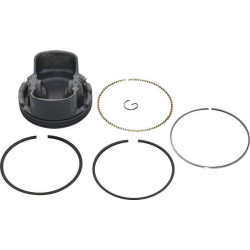 Stūmoklis pilnas standartinis 799270