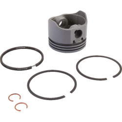 Stūmoklio mazgas .020 499909