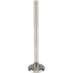 Išmetimo vožtuvas 691796