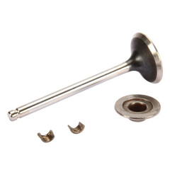 Išmetimo vožtuvas 84012919