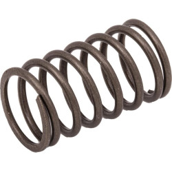 Vožtuvo spyruoklė 691270