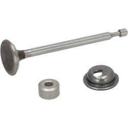 Išmetimo vožtuvas 590531