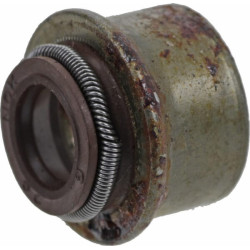 Vožtuvo sandariklis 710863